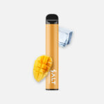 Einweg E-Zigarette Salt Switch mango ice kaufen