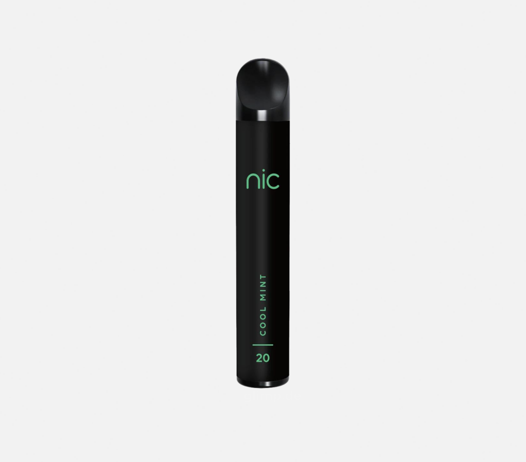 Einweg E-Zigarette NIC cool mint