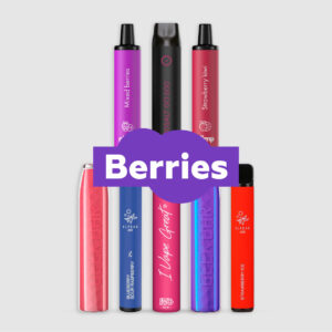 Einweg E-Zigarette berries bundle