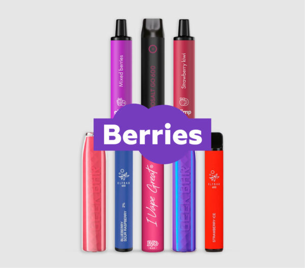 Einweg E-Zigarette berries bundle