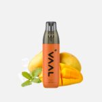VAAL AOP1000-Mango ice kaufen